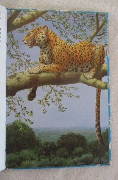1969 rare ladybird book for the collector - Afrikaans - Die Soogdiere van Afrika