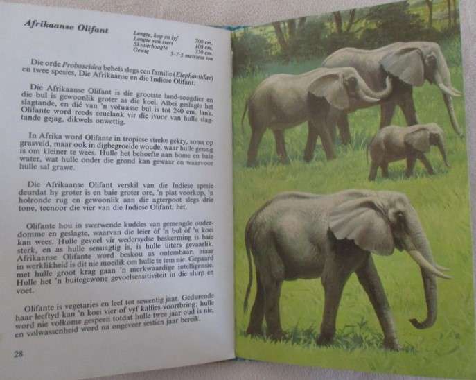 1969 rare ladybird book for the collector - Afrikaans - Die Soogdiere van Afrika