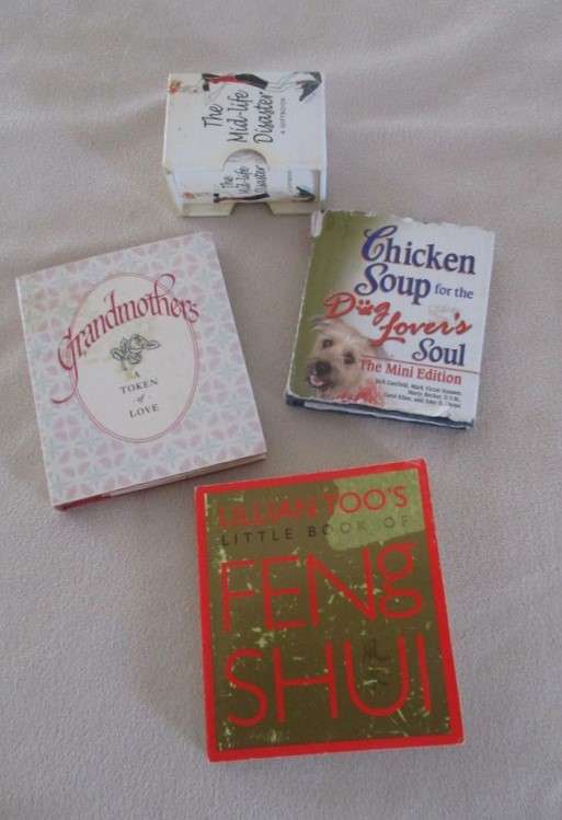 A big batch of fifteen miniature books for the collector