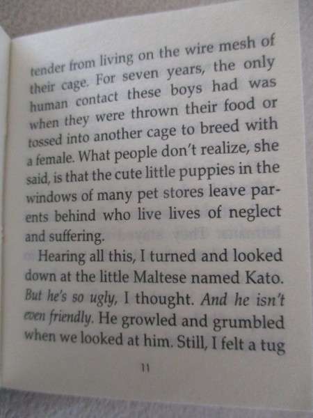 A big batch of fifteen miniature books for the collector