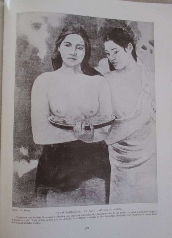 Beautiful, well illustrated old book - The Outline of Art