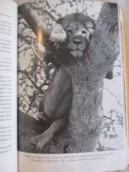 On Safari The Story of my Life by Armand Denis - hard cover plus dust cover