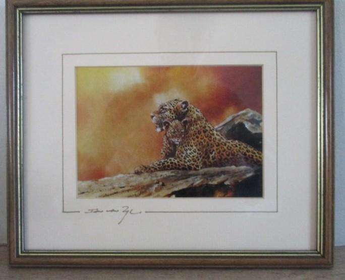 Two originally signed, beautifully framed prints by S.A. artist Ian van Zyl