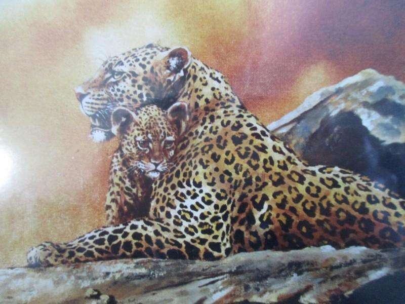 Two originally signed, beautifully framed prints by S.A. artist Ian van Zyl