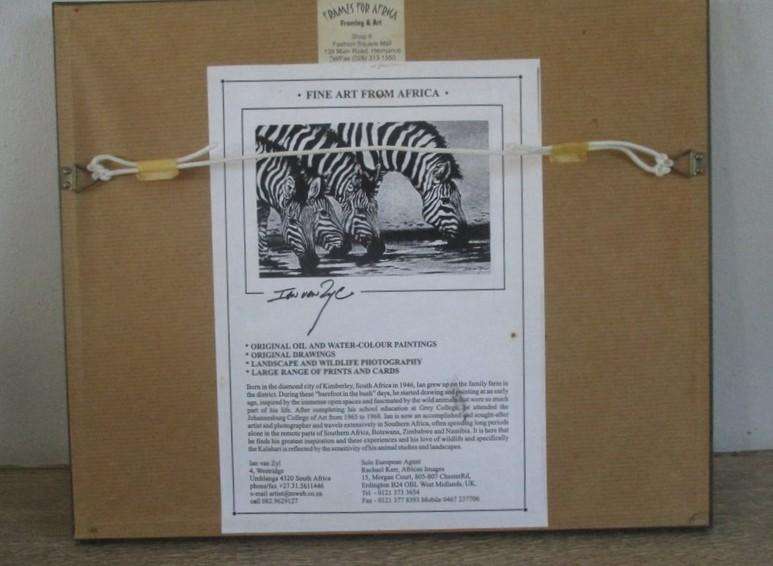 Two originally signed, beautifully framed prints by S.A. artist Ian van Zyl