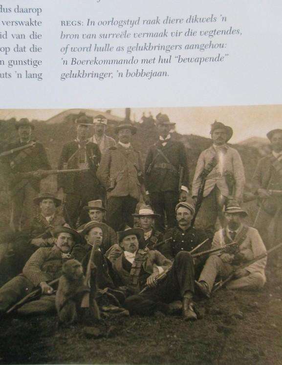 Nuwe Geskiedenis van Suid-Afrika - Hardeband met stofomslag - uitstekende toestand