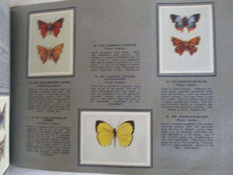 Vintage Bokomo and Springbok cards - two collectable albums on S.A. Butterflies and Moths - complete
