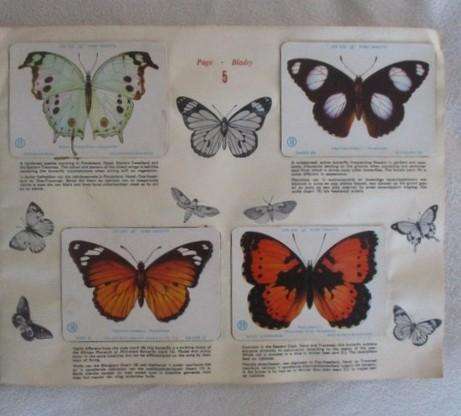 Vintage Bokomo and Springbok cards - two collectable albums on S.A. Butterflies and Moths - complete