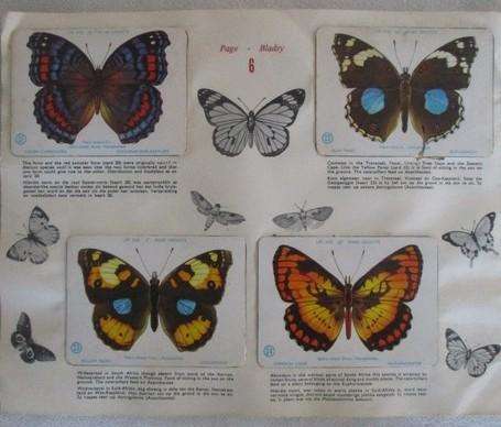 Vintage Bokomo and Springbok cards - two collectable albums on S.A. Butterflies and Moths - complete