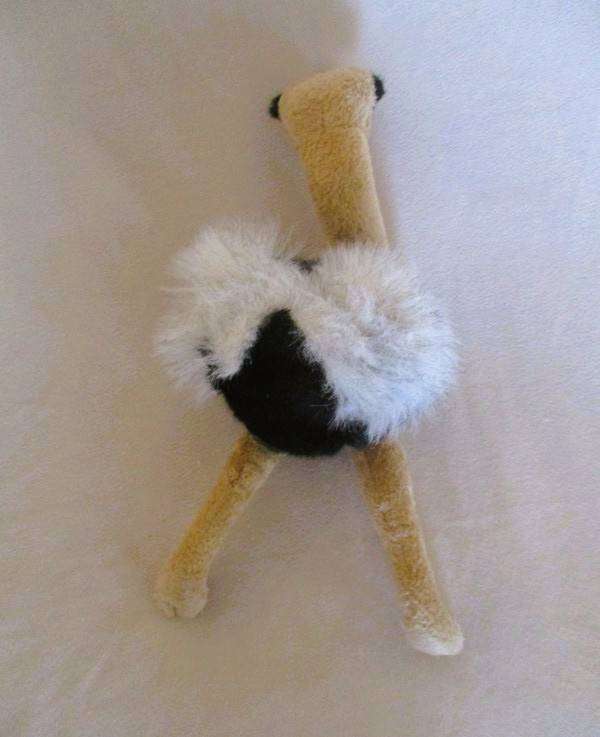 Collectable "Born in Africa"  Ostrich - love those eyes!