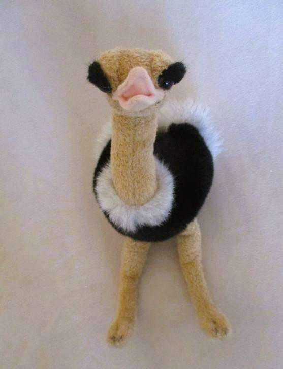 Collectable "Born in Africa"  Ostrich - love those eyes!