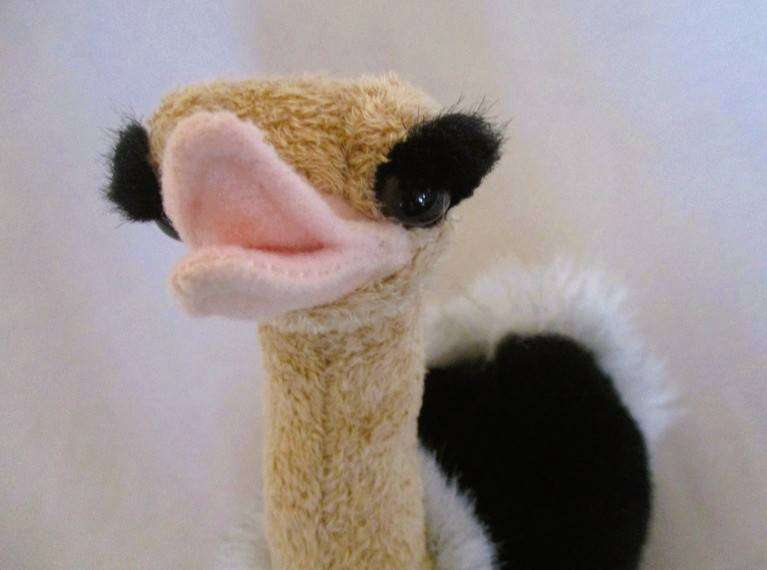 Collectable "Born in Africa"  Ostrich - love those eyes!
