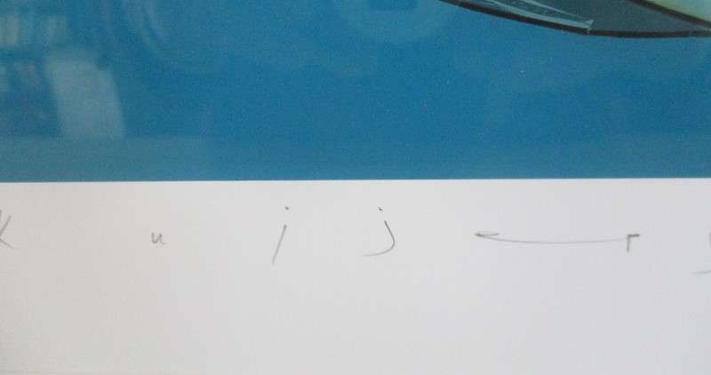 1. Limited edition framed, signed and numbered print (56/70) by  David Kuijers. Value R1500-R2000