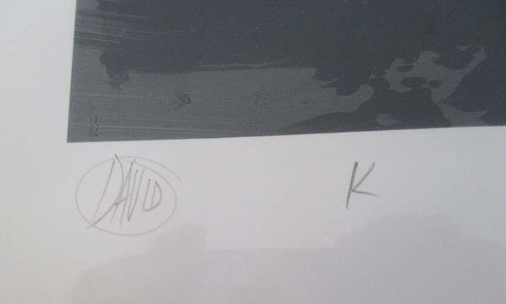 2. Limited edition framed, signed and numbered print (50/70) by  David Kuijers. Value R1500-R2000
