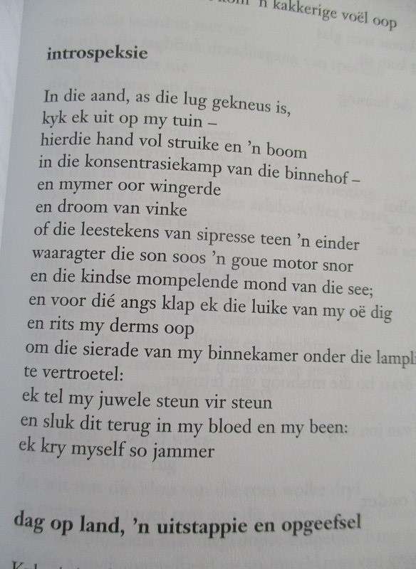 Ysterkoei-blues - Beyten Breytenbach - hardeband en stofomslag