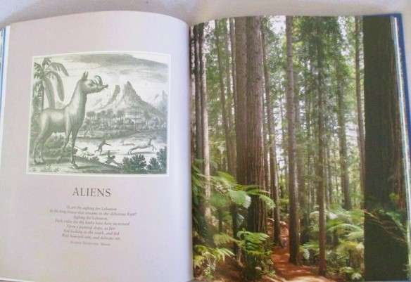 Remarkable Trees of the World by Thomas Pakenham