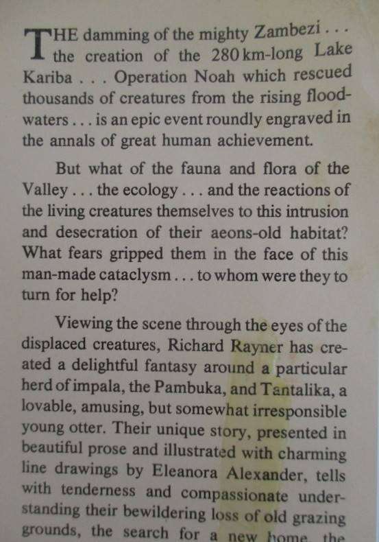 The Valley of Tantalika by Richard Rayner