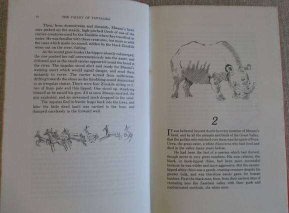 The Valley of Tantalika by Richard Rayner