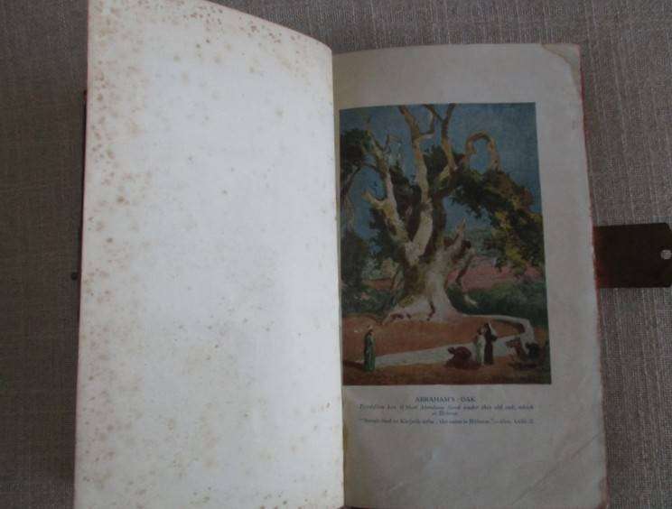 Circa 1907 - The Palestine Pictorial Bible - old antique Bible with brass clasp