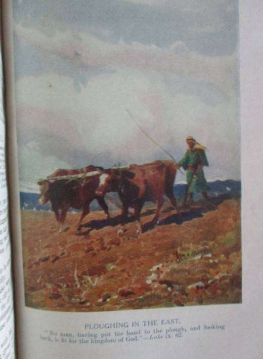 Circa 1907 - The Palestine Pictorial Bible - old antique Bible with brass clasp