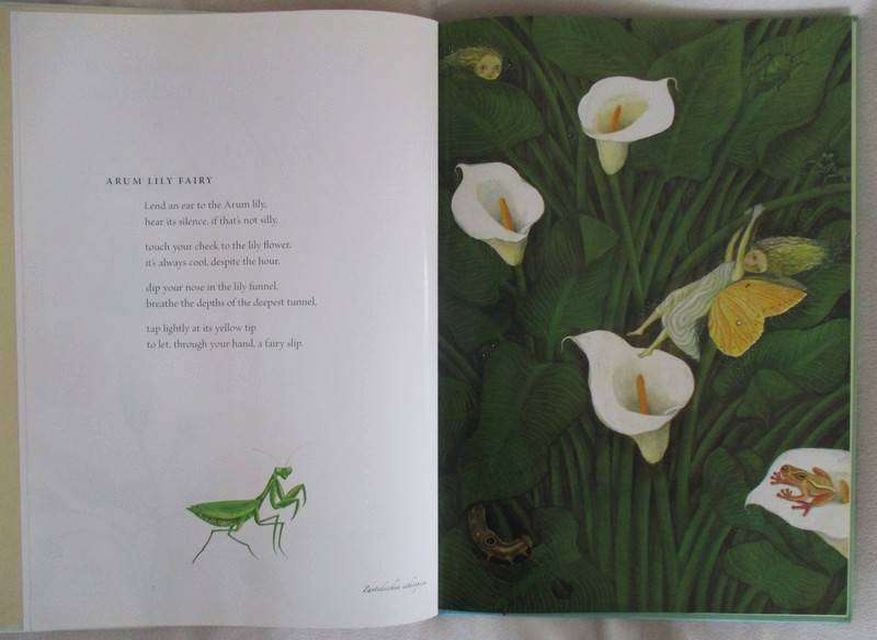 Antjie Krog and Fiona Moodie - Fynbos Fairies