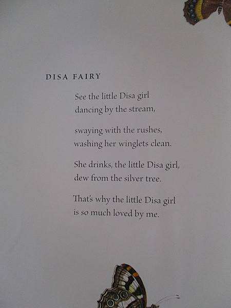 Antjie Krog and Fiona Moodie - Fynbos Fairies