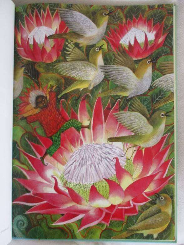 Antjie Krog and Fiona Moodie - Fynbos Fairies