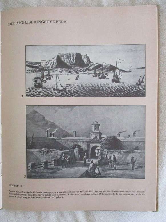 Taal en Beeld - Die geskiedenis van die Afrikaanse Taalbeveging - P.J. Nienaber