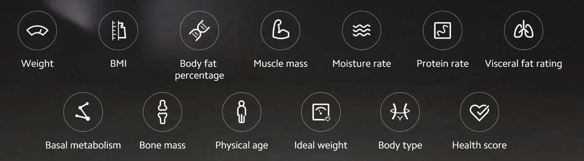 Mi body composition scale 2