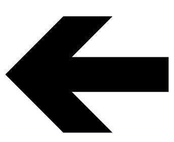 Driftwood Pieces Lot 7