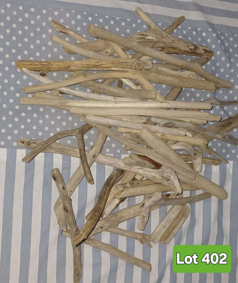 Driftwood Sticks Lot 402