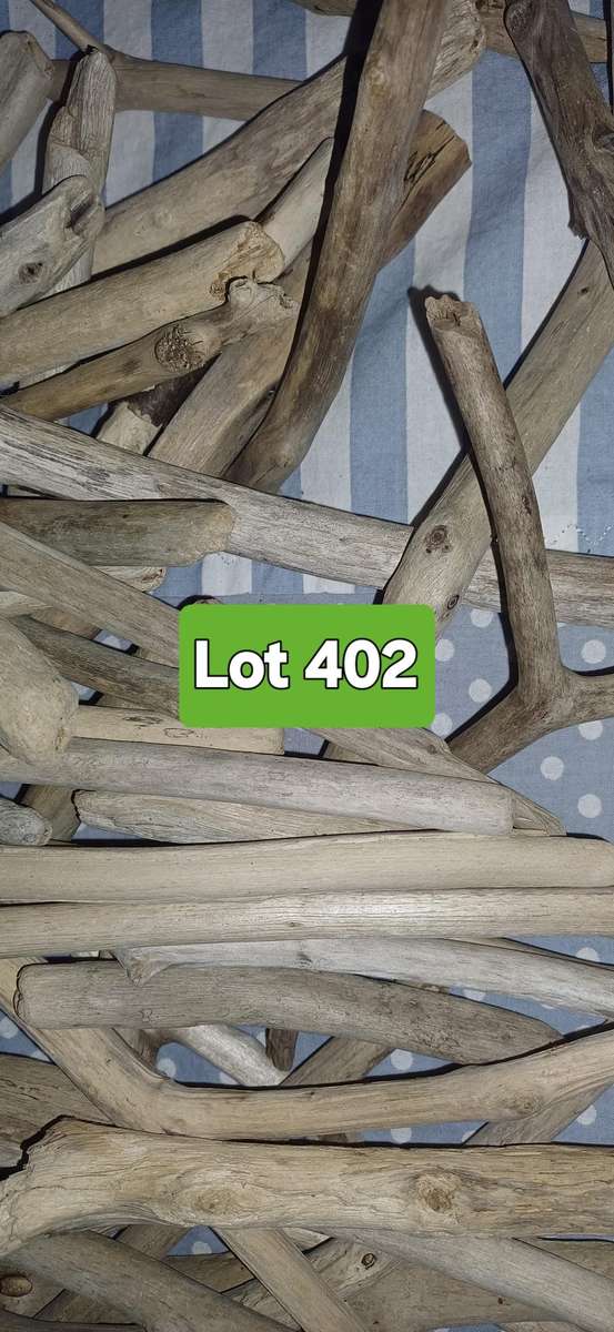 Driftwood Sticks Lot 402