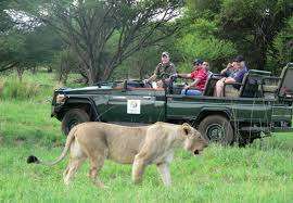 Modjadji Camp 7 Nights Accommodation Mabula Game Lodge