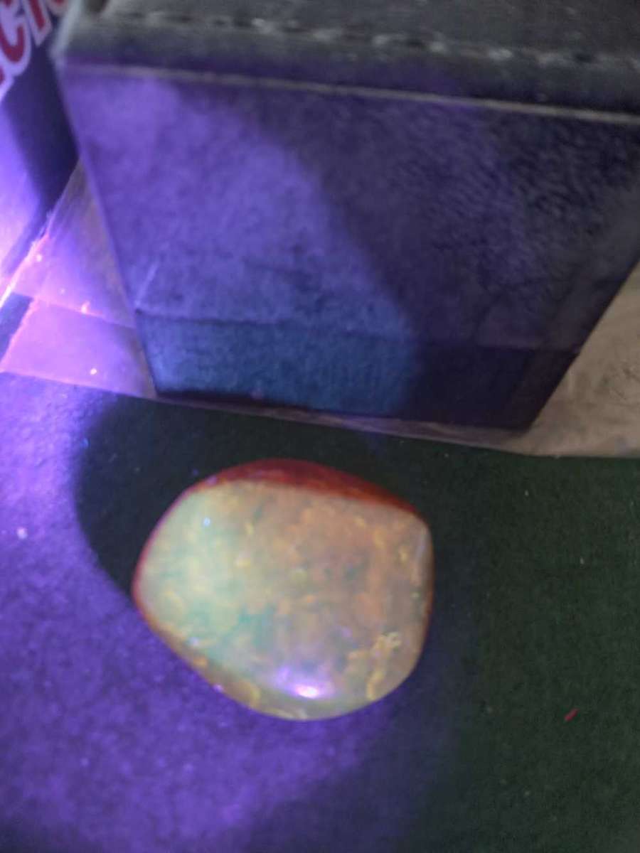 Beautiful Amber Brooch