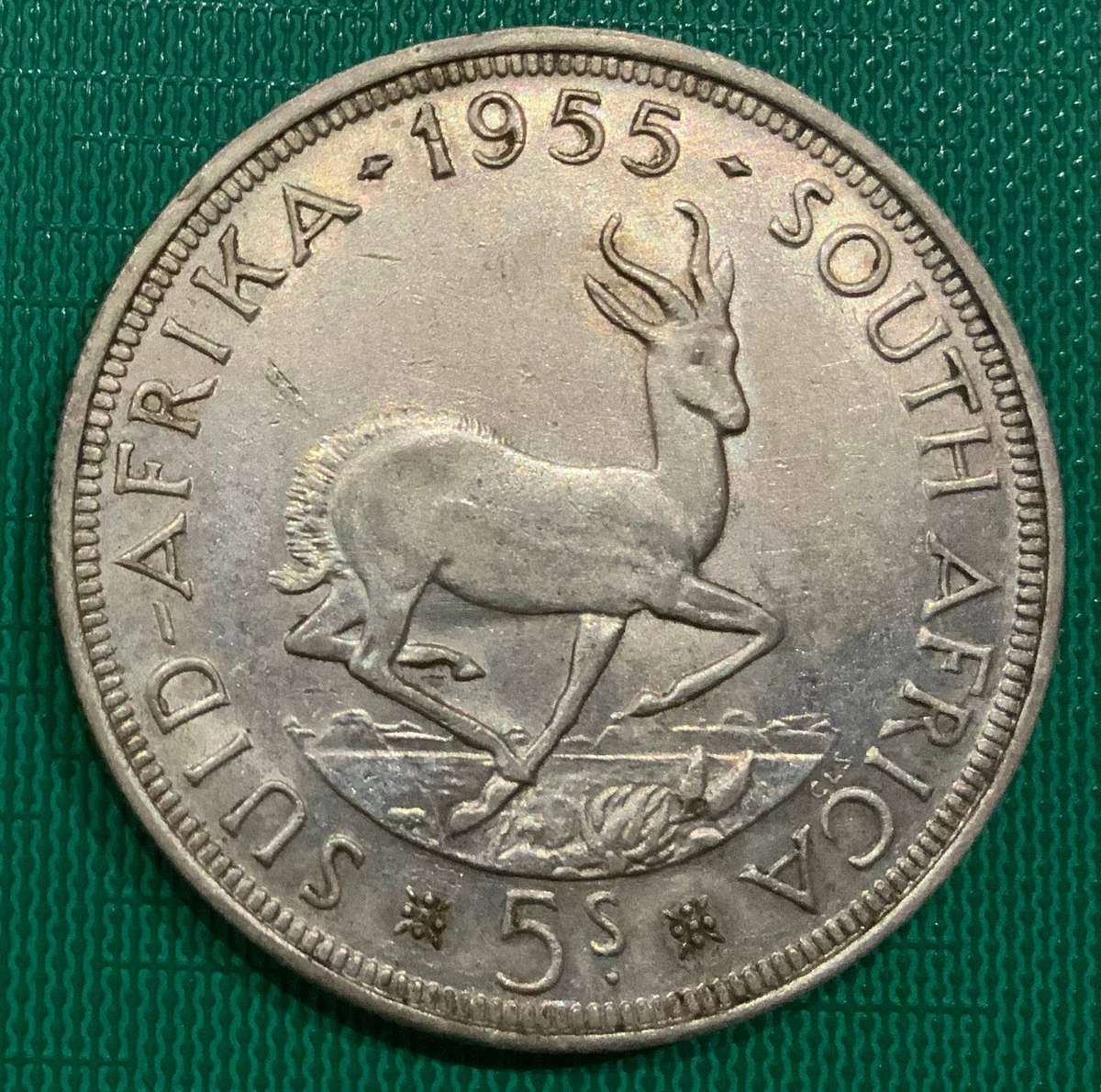 1955 South Africa 5 Shilling Coin