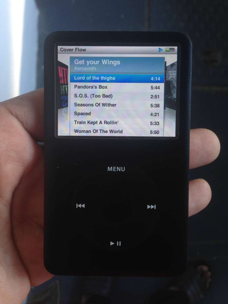 Apple iPod Classic 80GB (Model A1238) 6th gen