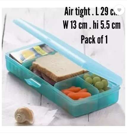 Tupperware Aqua Divided Sandwich keeper