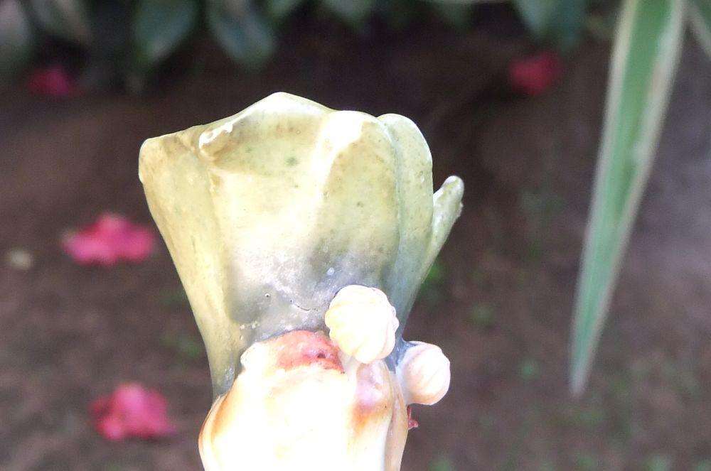 A rare Victorian era porcelain spill vase with Chinese man motif