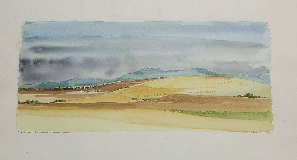 An original watercolour painting of the Caledon wheatlands signed Coleman dated 1986