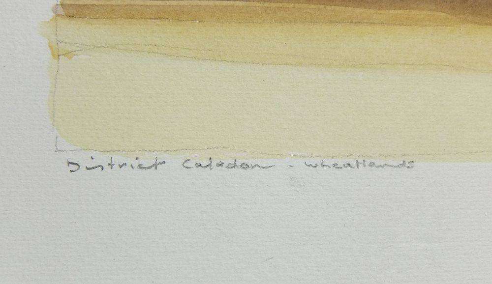 An original watercolour painting of the Caledon wheatlands signed Coleman dated 1986