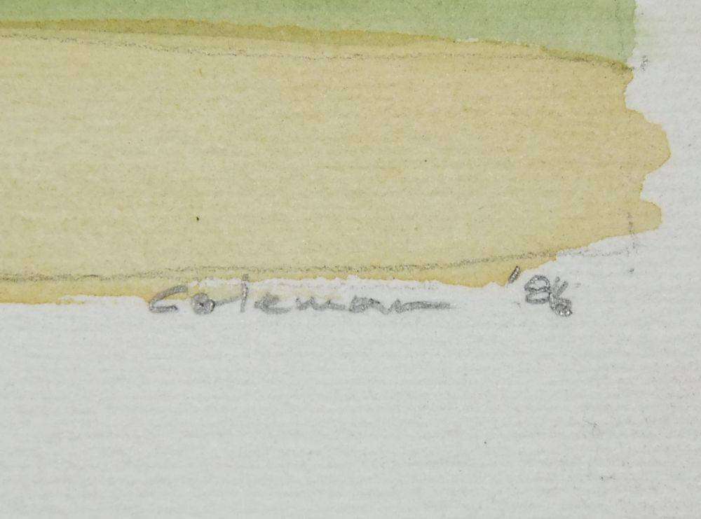 An original watercolour painting of the Caledon wheatlands signed Coleman dated 1986