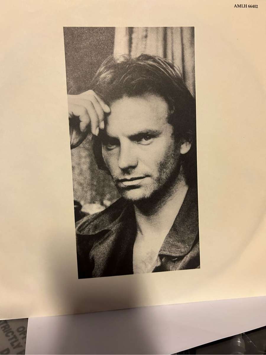STING - NOTHING LIKE THE SUN 2LP VINYL