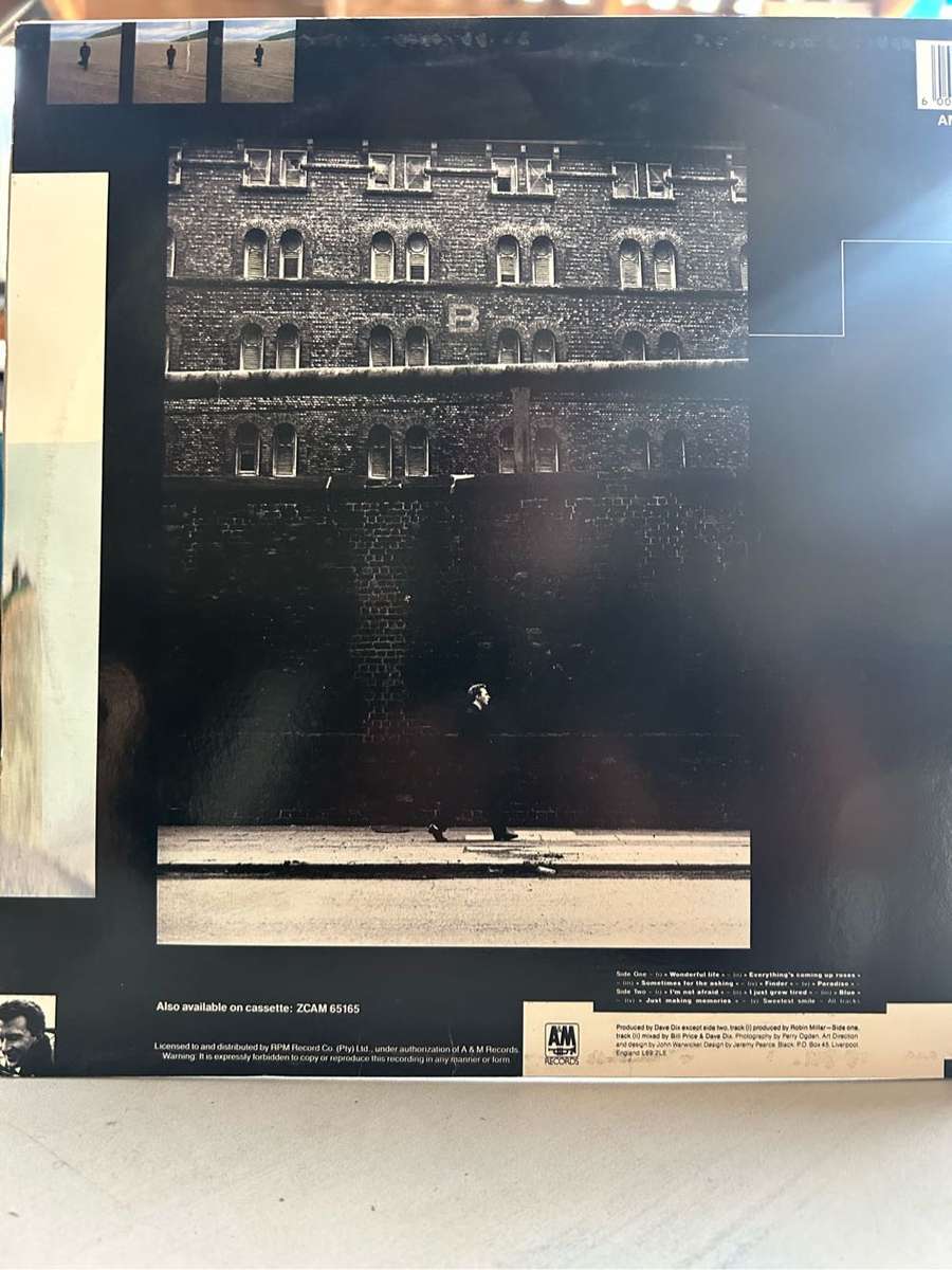 BLACK - WONDERFUL LIFE LP VINYL