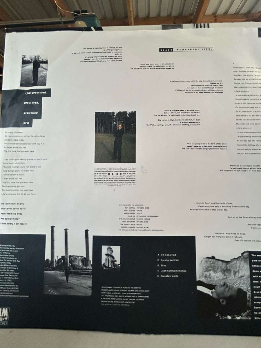 BLACK - WONDERFUL LIFE LP VINYL