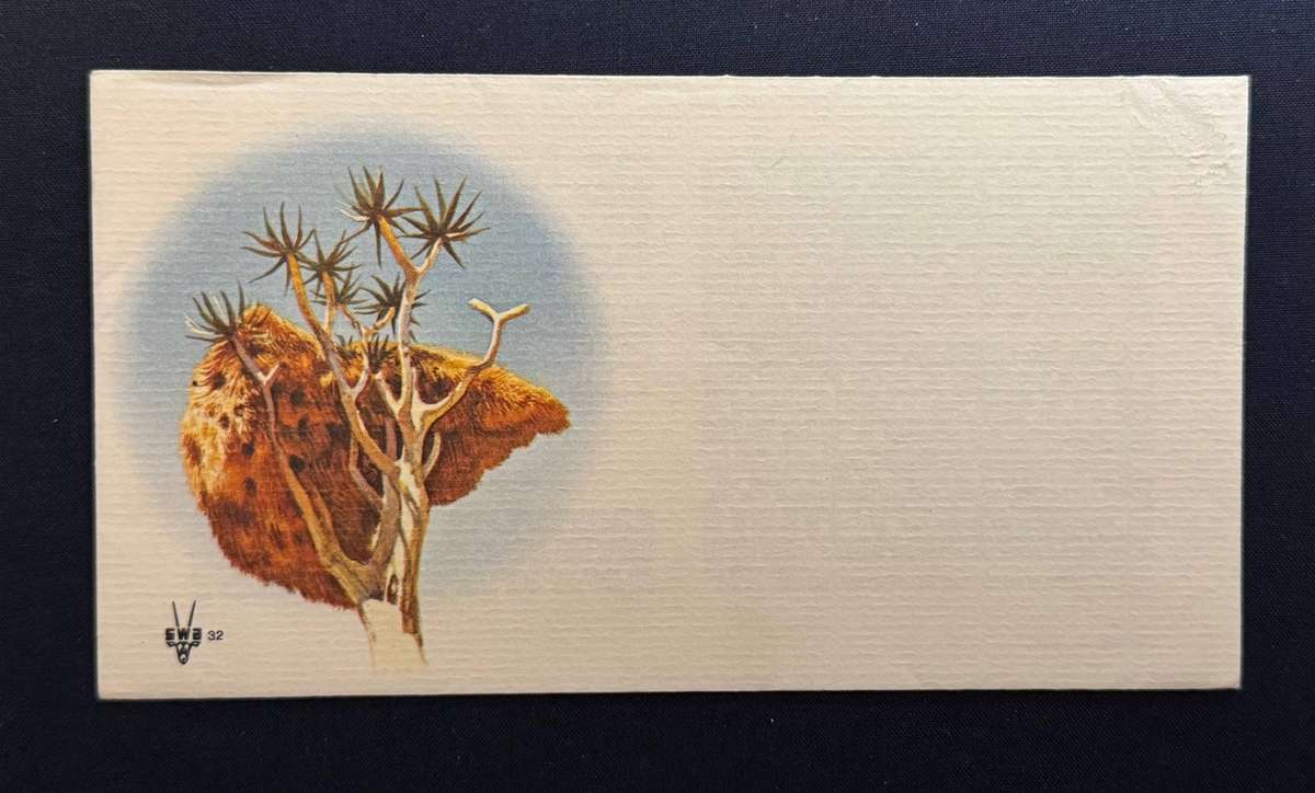 SWA UNSERVICED COVER