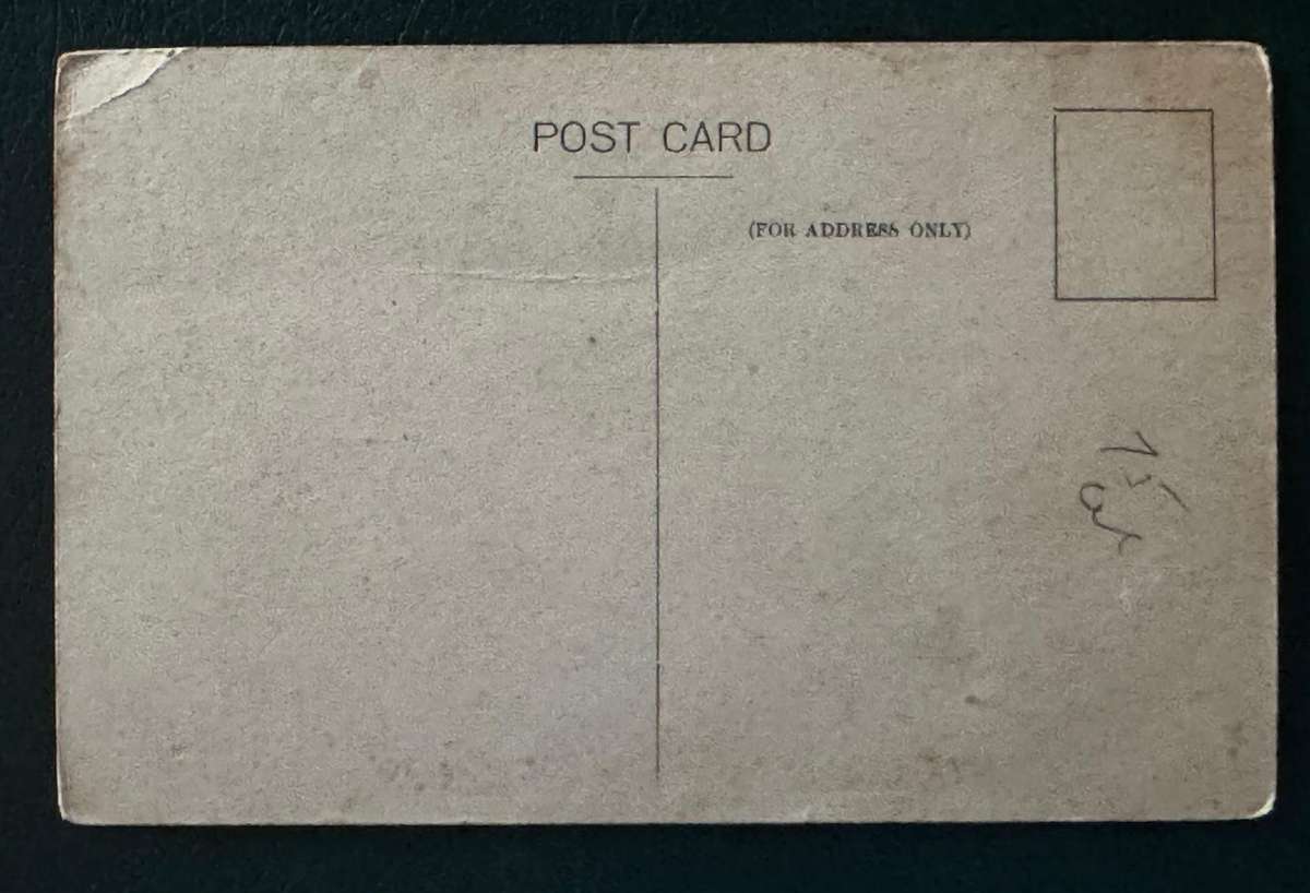 POSTCARD BRIANY CAUE, WATERMOUTH