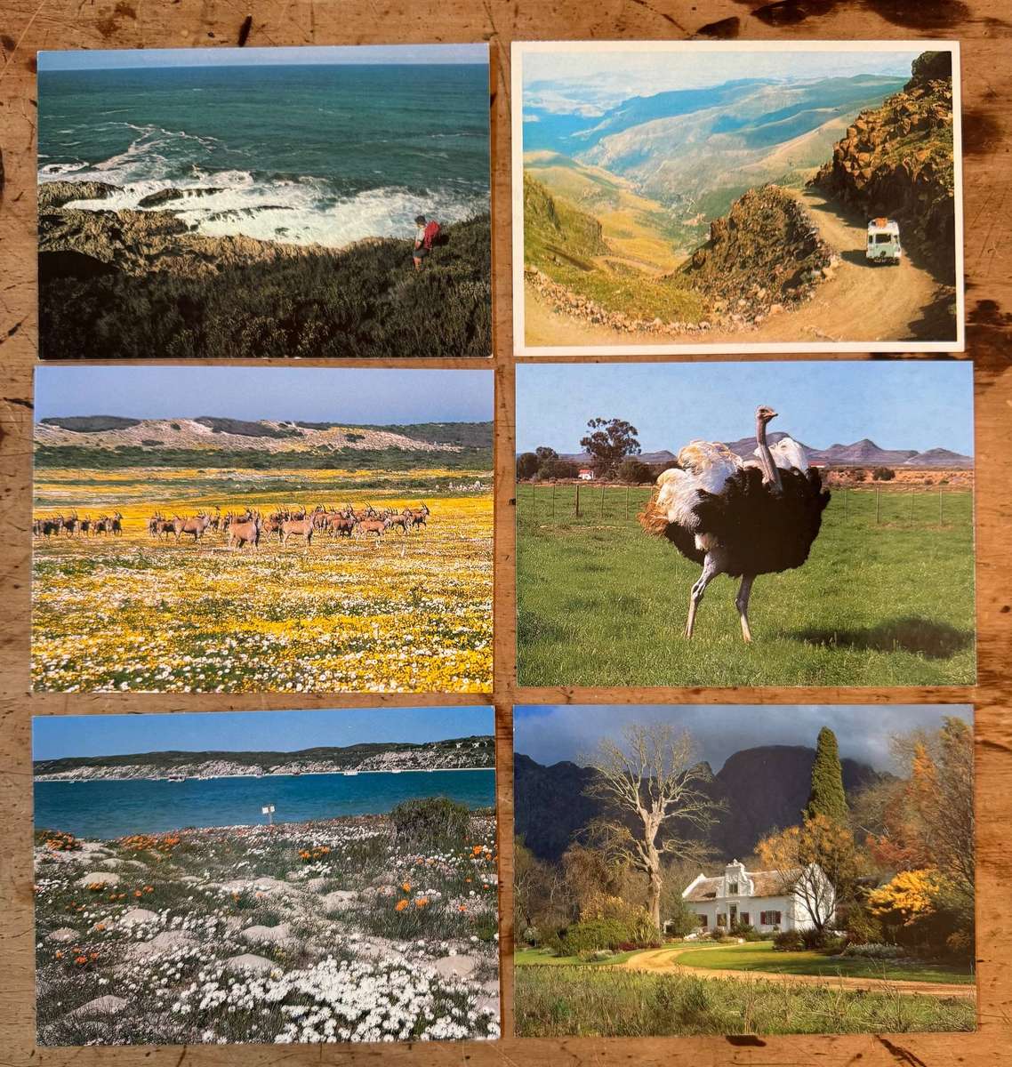 SOUTH AFRICA POSTCARDS
