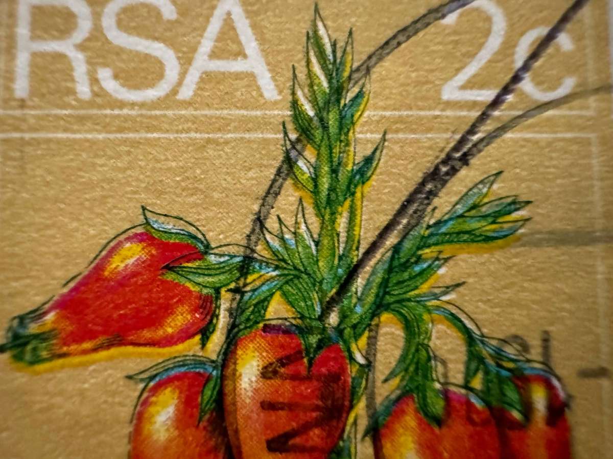 RSA Stamps Variations