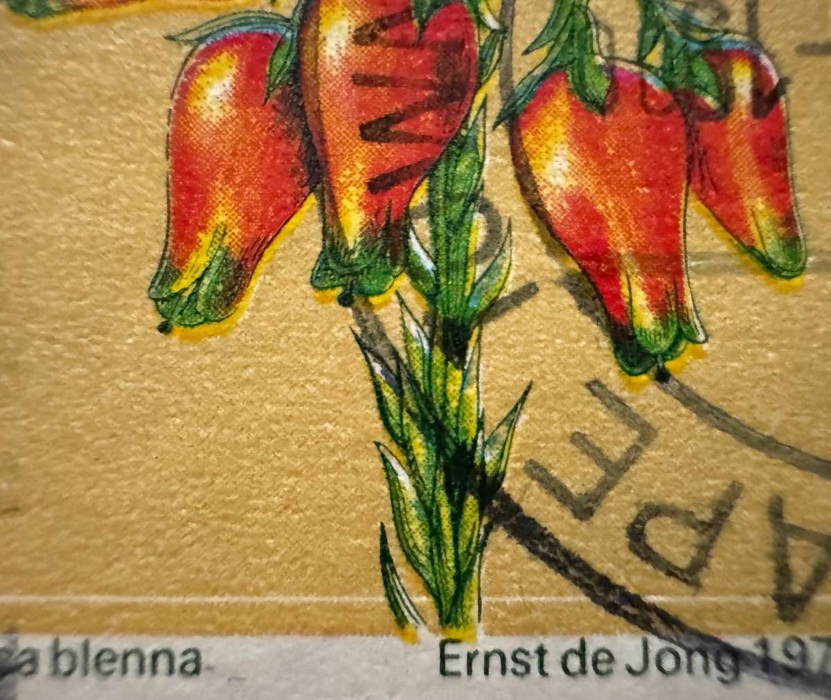 RSA Stamps Variations