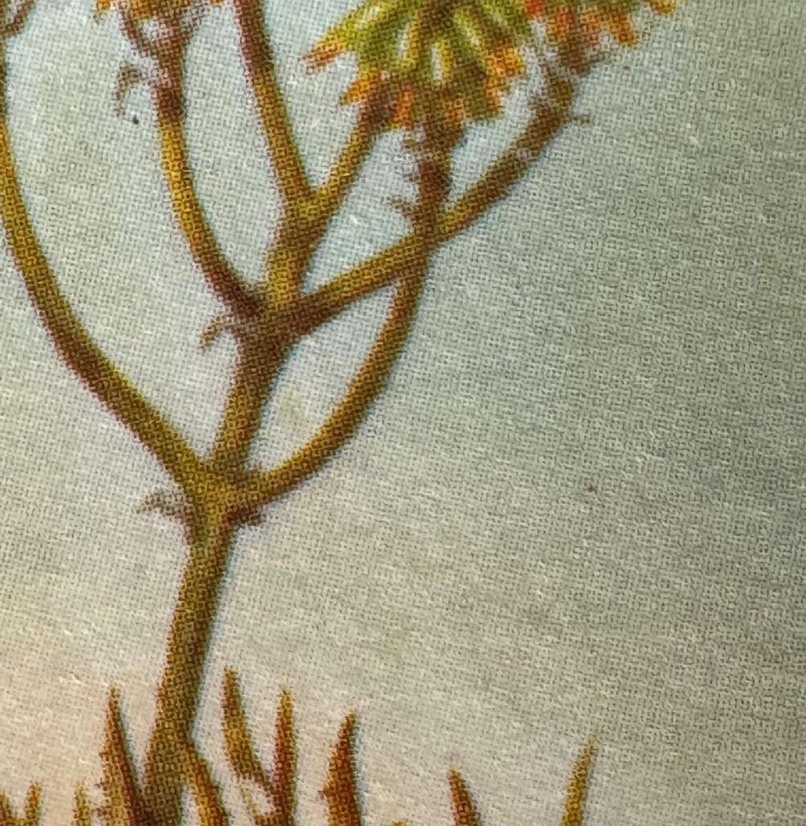 SWA COVER PRINT ERRORS